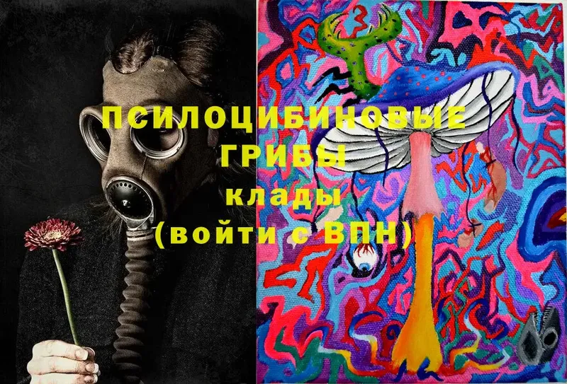 где можно купить   OMG ССЫЛКА  Псилоцибиновые грибы ЛСД  Буйнакск 